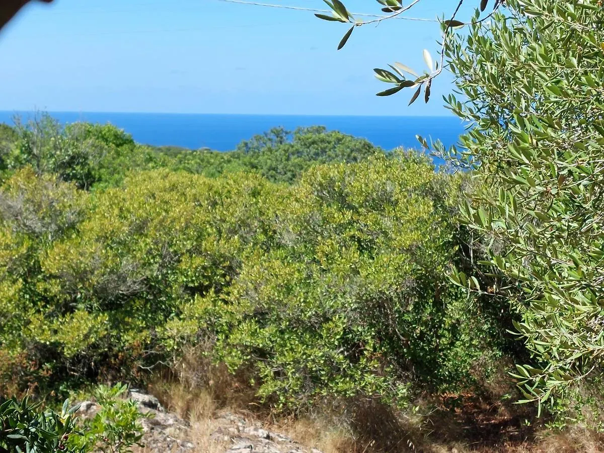 Pensjonat Arcamyrtus Alghero